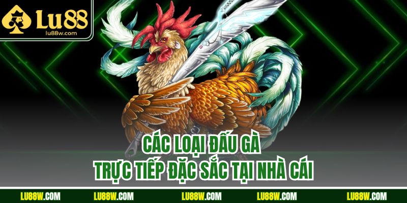 Các loại đấu gà trực tiếp đặc sắc tại nhà cái