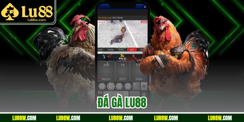 Đá Gà LU88 – Cá Cược Đỉnh Cao, Kịch Tính Từng Giây