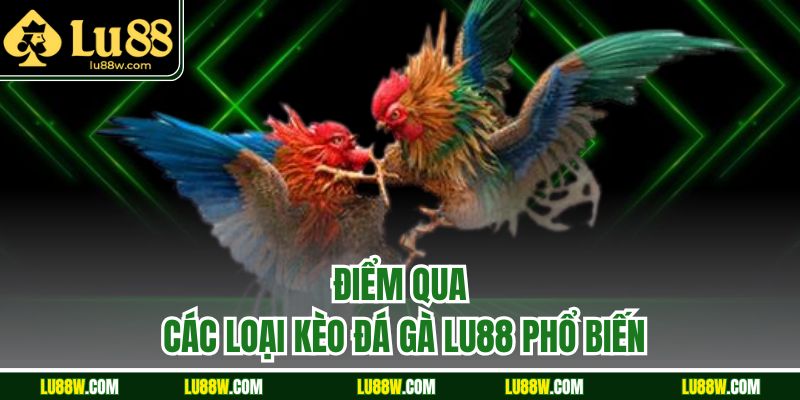 Điểm qua các loại kèo đá gà LU88 phổ biến