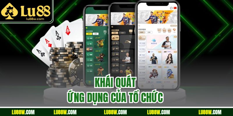 Khái quát ứng dụng của tổ chức