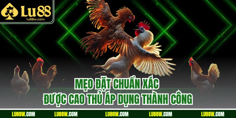 Mẹo đặt chuẩn xác được cao thủ áp dụng thành công